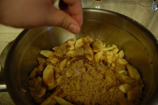 Brown Sugar Cinnamon Apple Pie